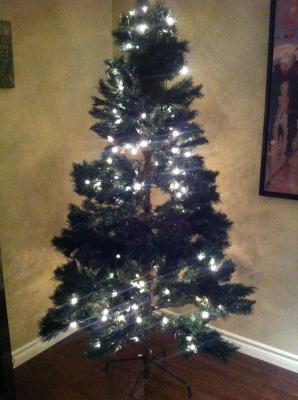 Actual tree you'll get