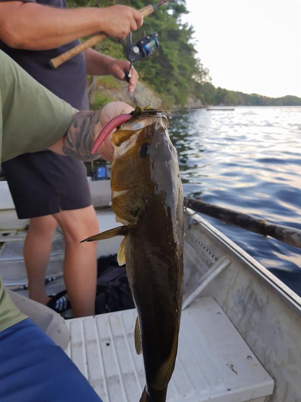 Photo - commentaire&nbsp;1.