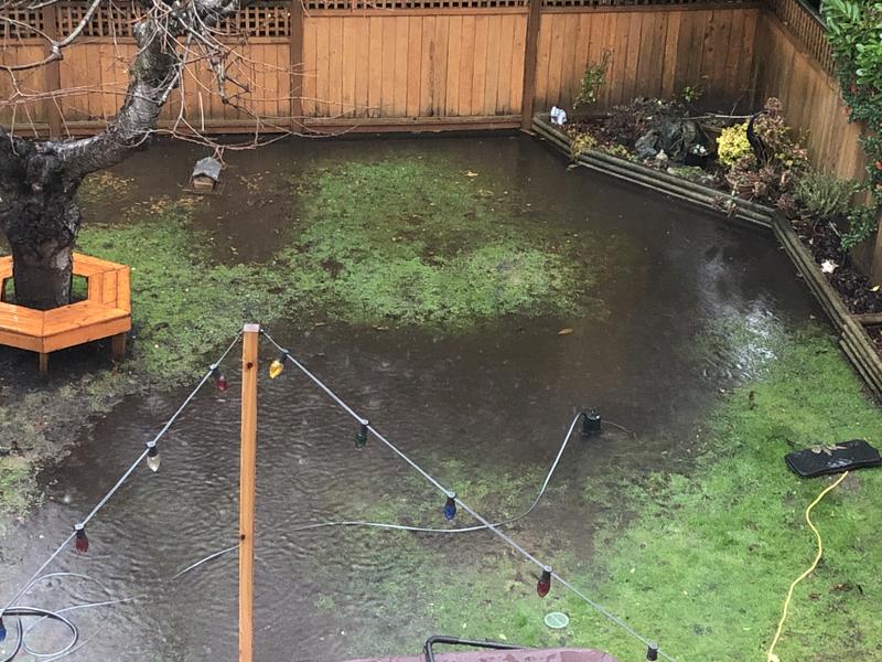 Photo - commentaire&nbsp;1.