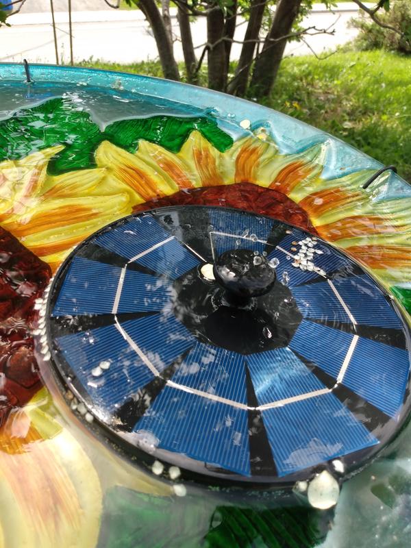 Photo - commentaire 6.