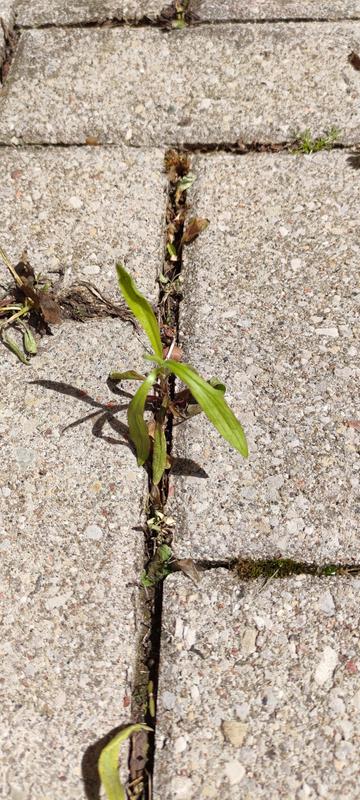 Photo - commentaire&nbsp;3.