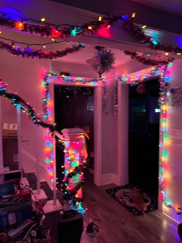 Photo - commentaire&nbsp;5.