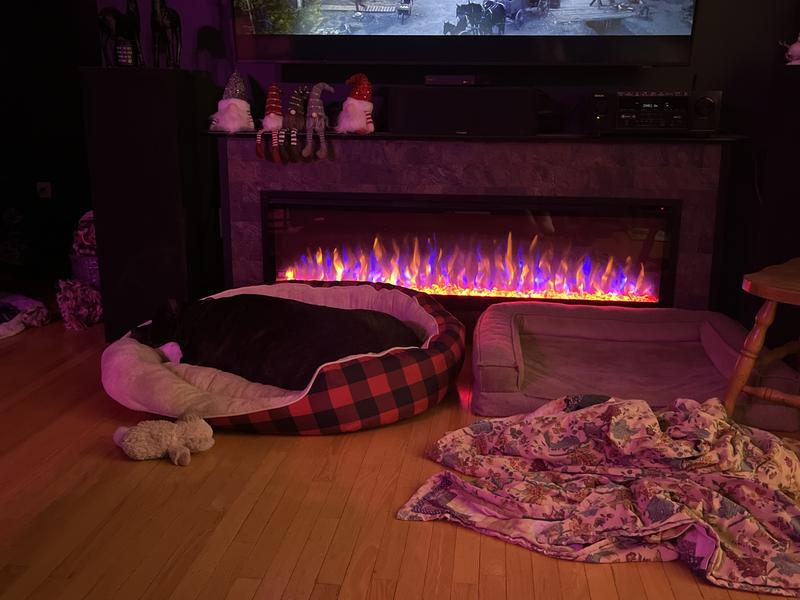 Prefers this bed over the expensive memory foam one right next to it.