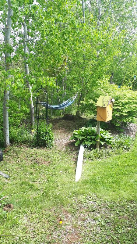 My new outdoor retreat.