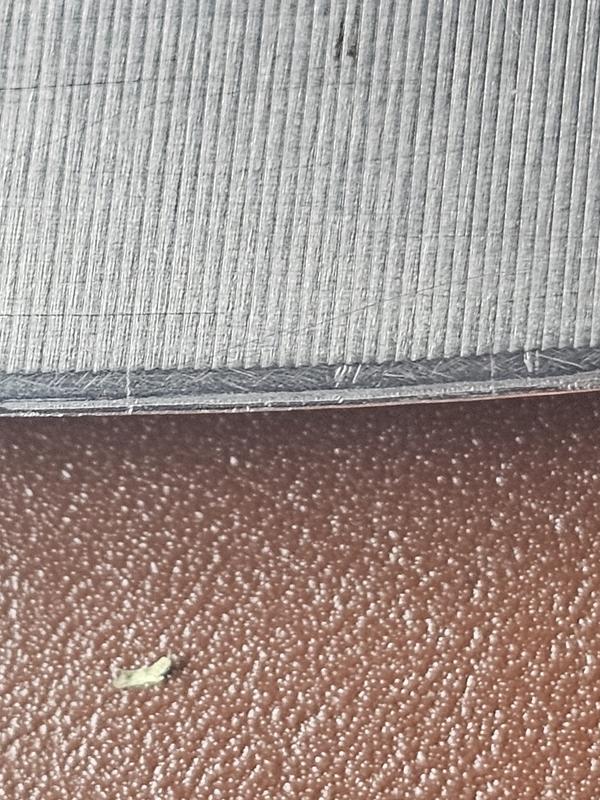 Photo - commentaire 2.