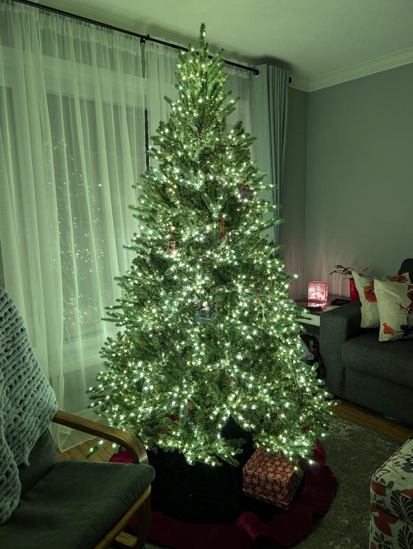 Beautiful even without decorations!