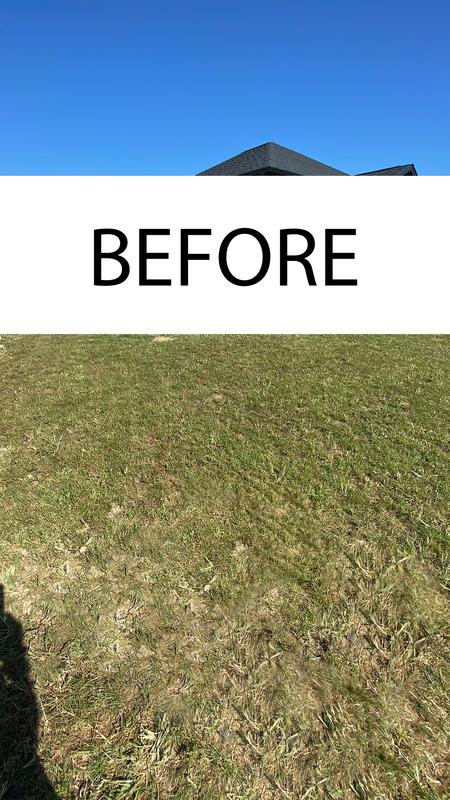 Before fertilizing and overseeding.