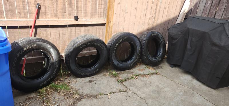 Photo - commentaire 1.