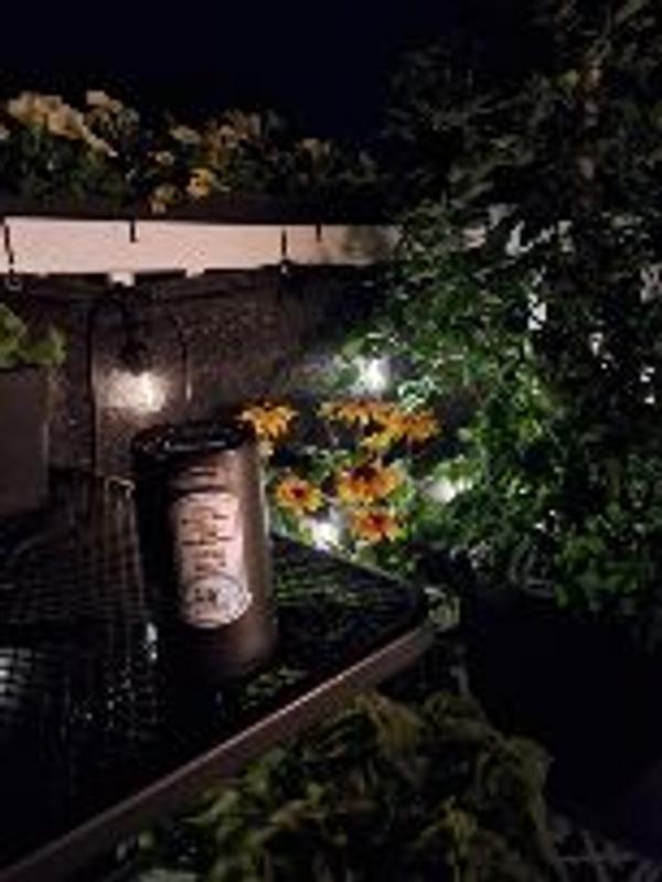 Photo - commentaire&nbsp;2.