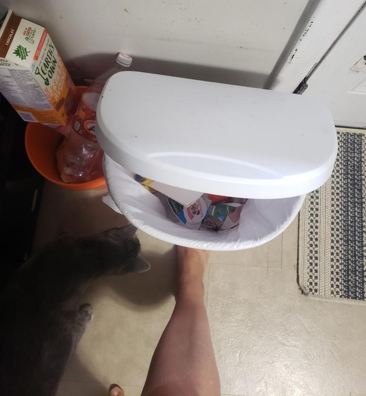 Fully-steppong down on the lever and the lid only opens to this point.