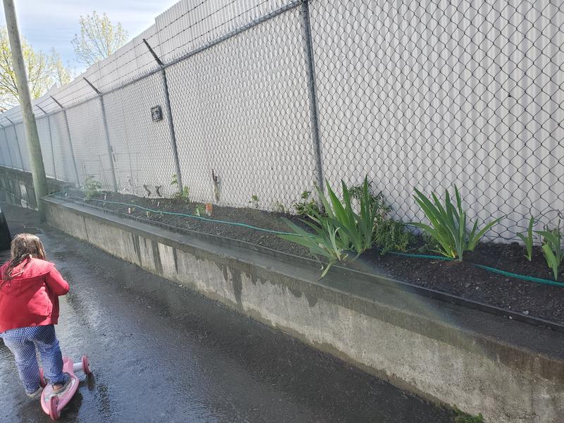 Retaining wall gardening