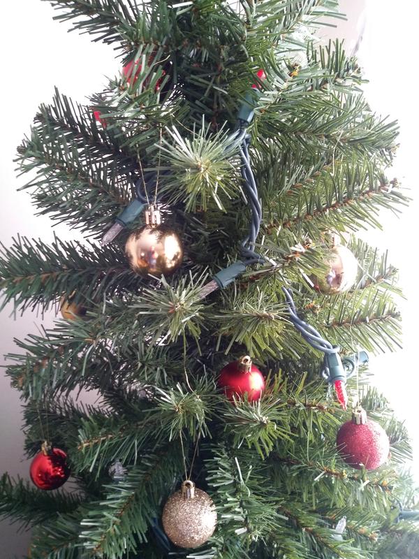 Photo - commentaire 1