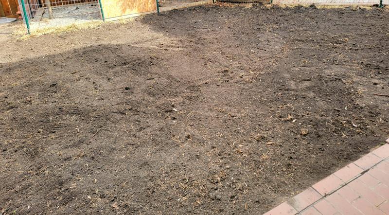 Completely removed old grass, tilled the soil by hand