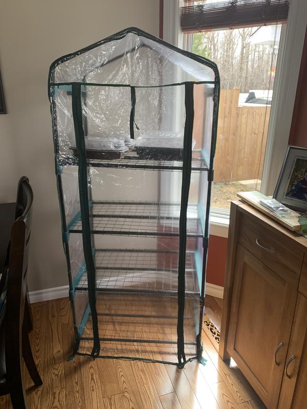 Started seeds indoors