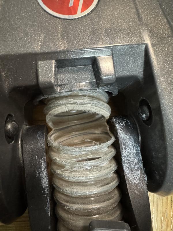 Photo - commentaire 2.