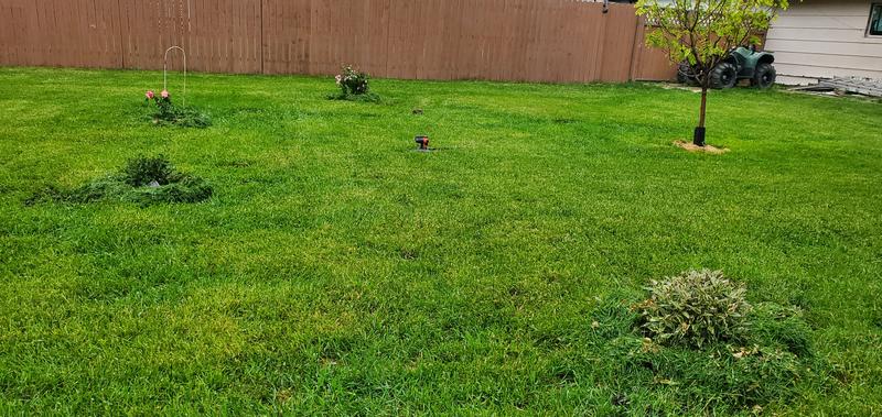 Targeting the water flow.