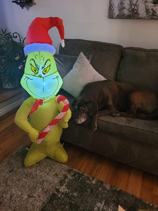 Photo - commentaire 1