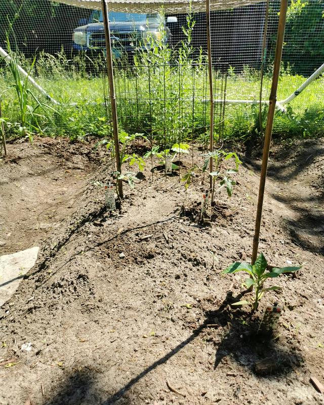 Photo - commentaire&nbsp;4.