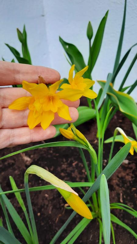 Photo - commentaire&nbsp;2.