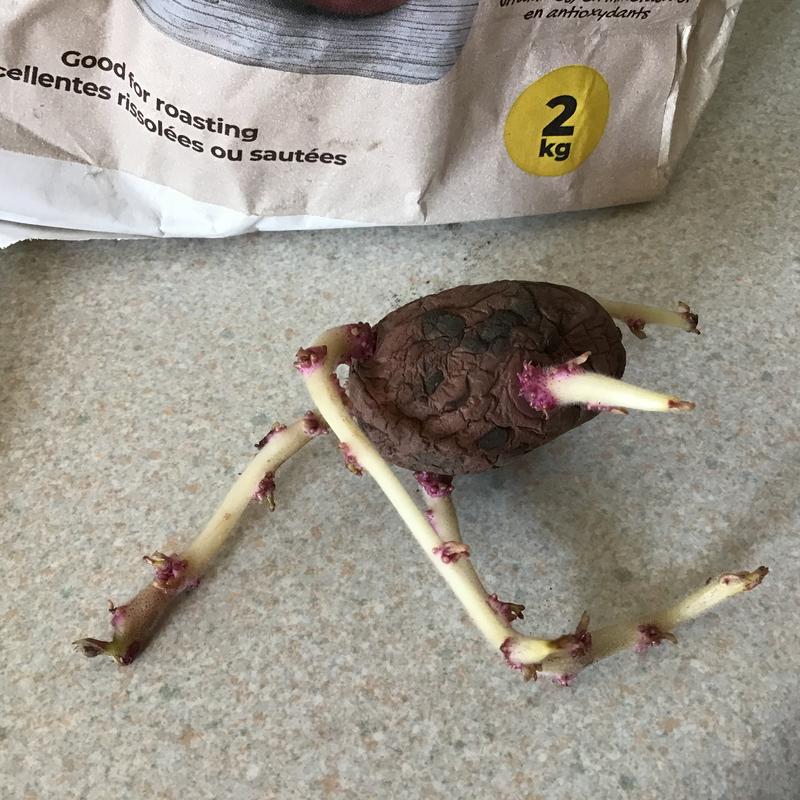 I think these maybe not stored correctly ?