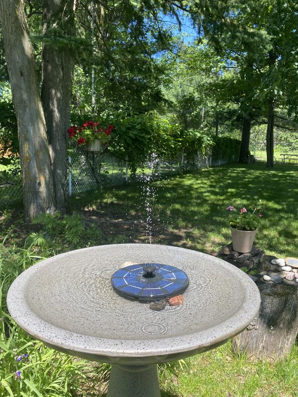 Photo - commentaire 7.