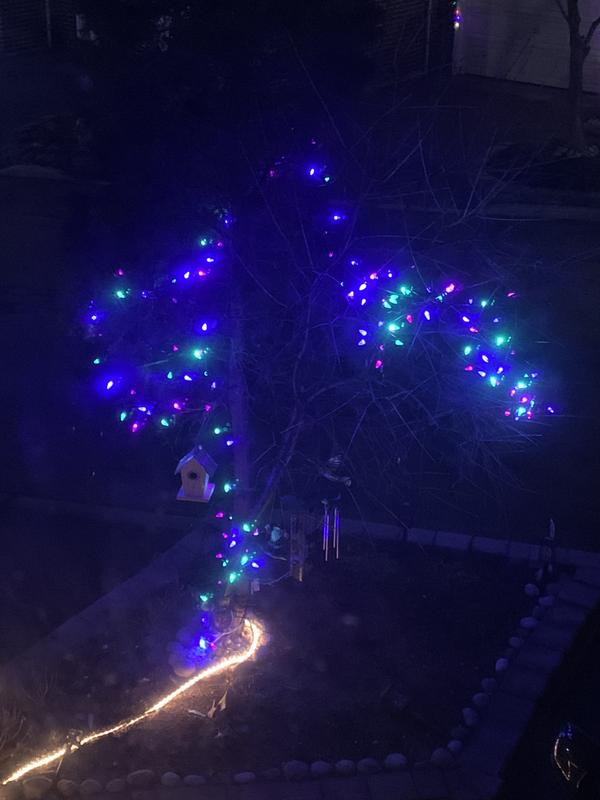 Photo - commentaire&nbsp;1.