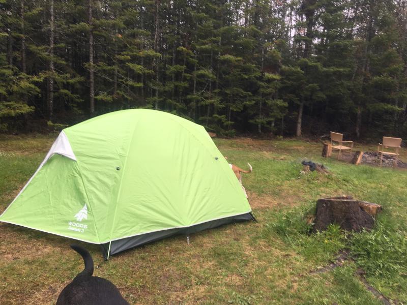 Test run in some rain on wet ground