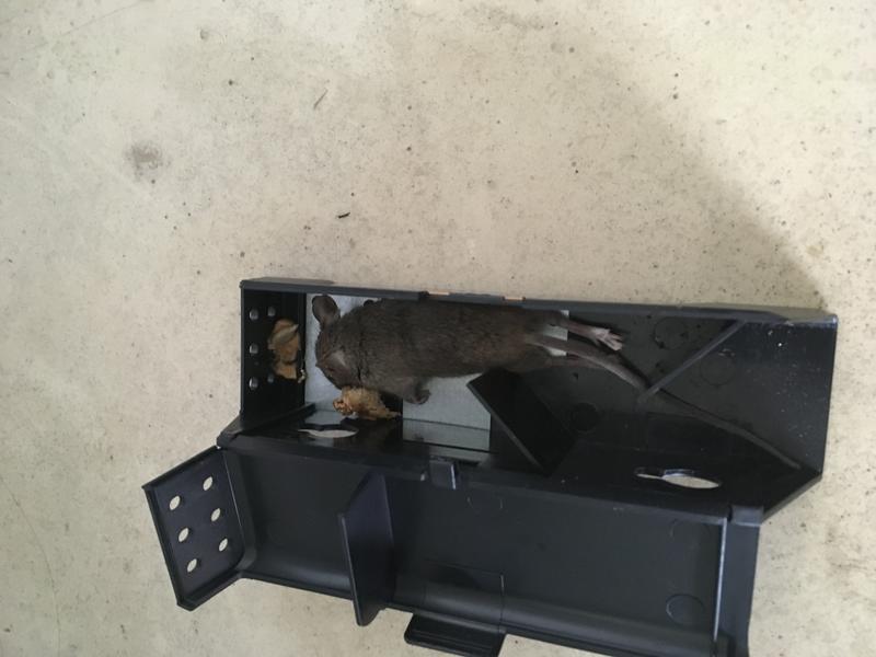 Photo - commentaire&nbsp;2.