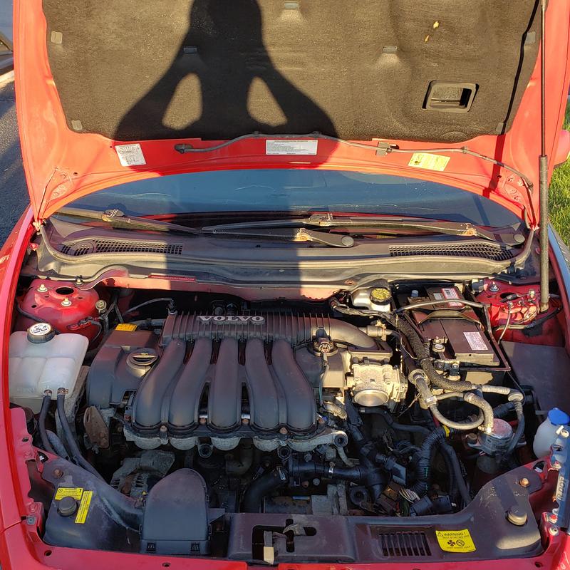 Cleaned engine bay
