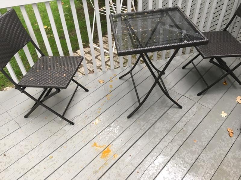 Photo - commentaire&nbsp;6.