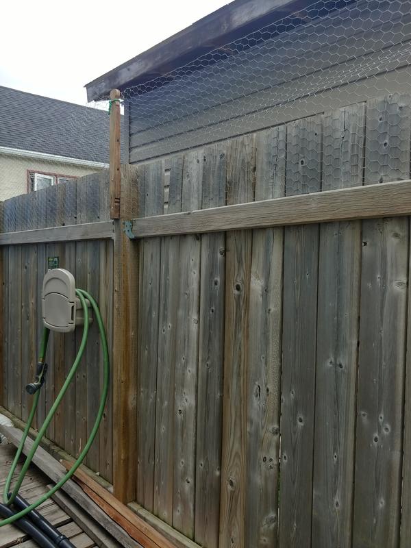 Chicken wire tacked to the fence using the T3000