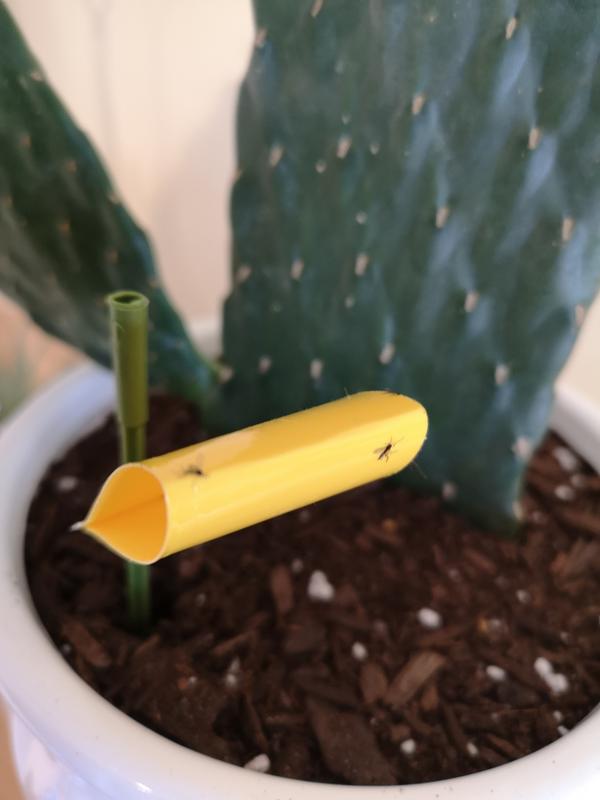 Photo - commentaire 3.