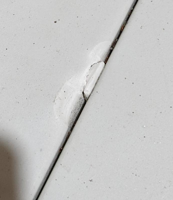 Photo - commentaire 6.