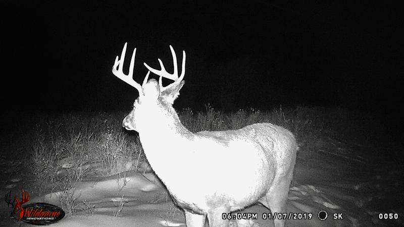 Photo - commentaire&nbsp;1.