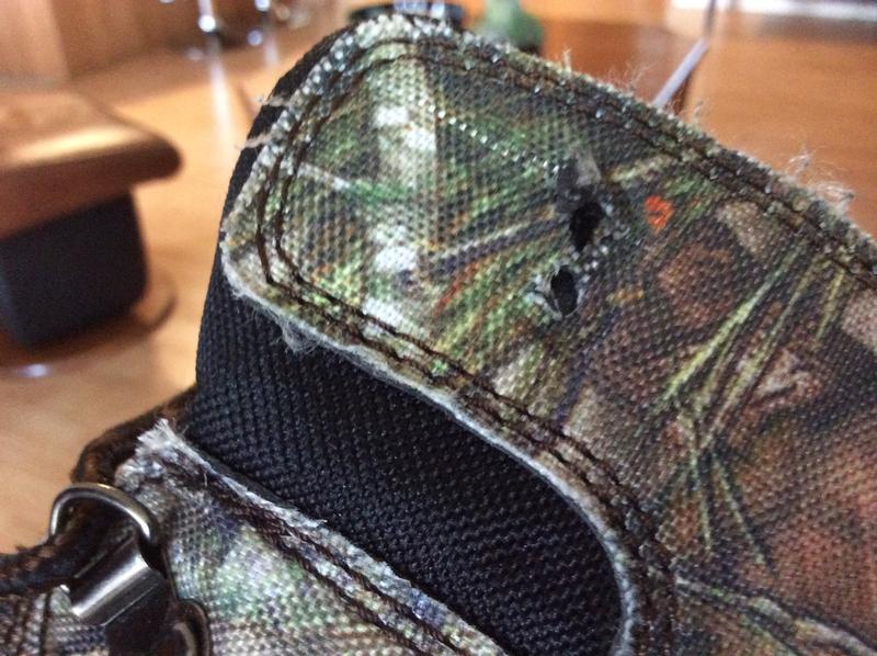 Photo de l’oeillet disparue