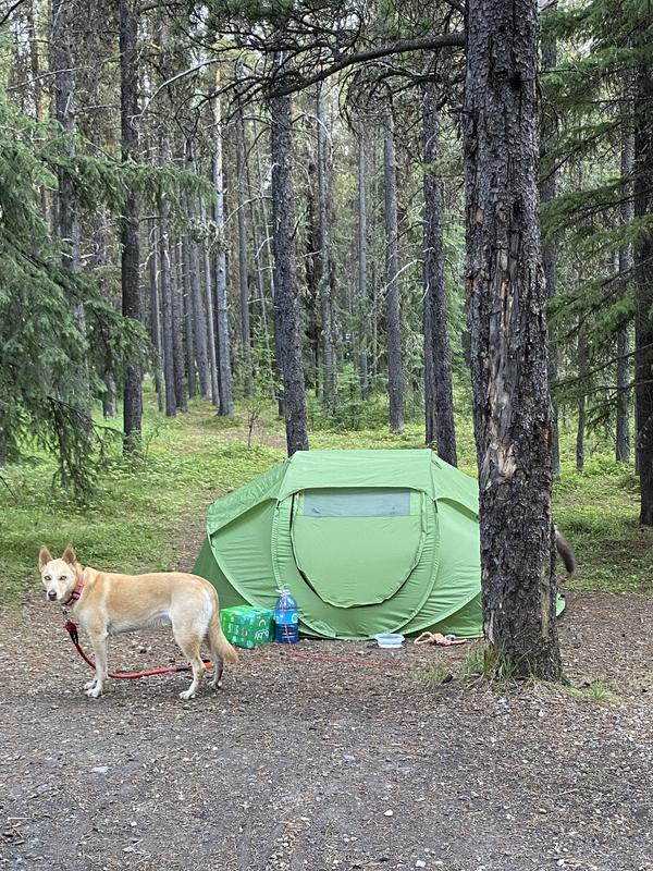 Outbound 4-Person 1-Piece Hoop Frame Instant Pop-Up Camping Dome