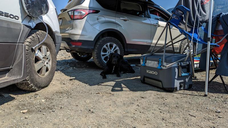 Photo - commentaire 6.