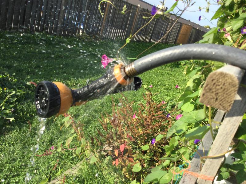 Photo - commentaire&nbsp;1.