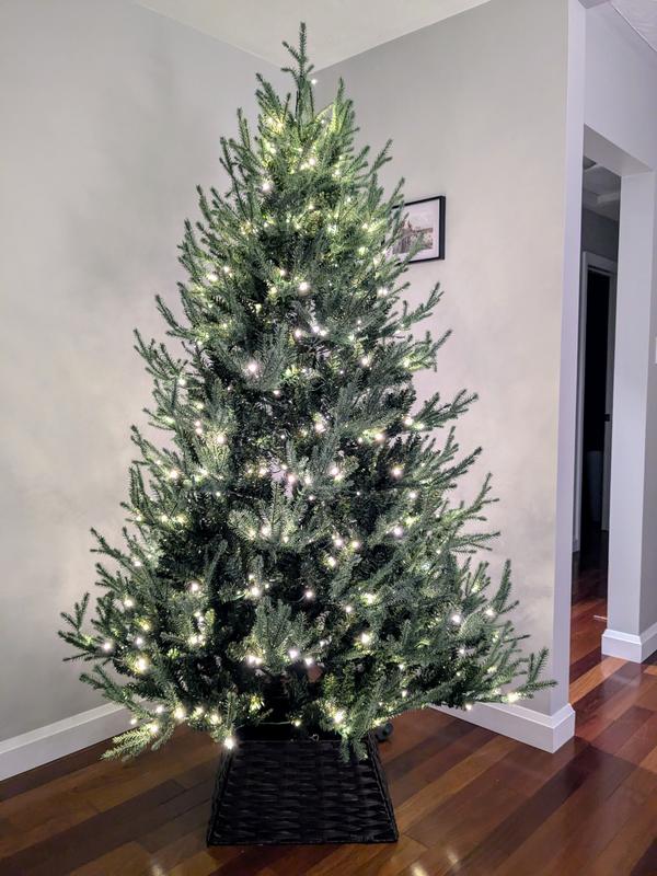 Photo - commentaire&nbsp;6.