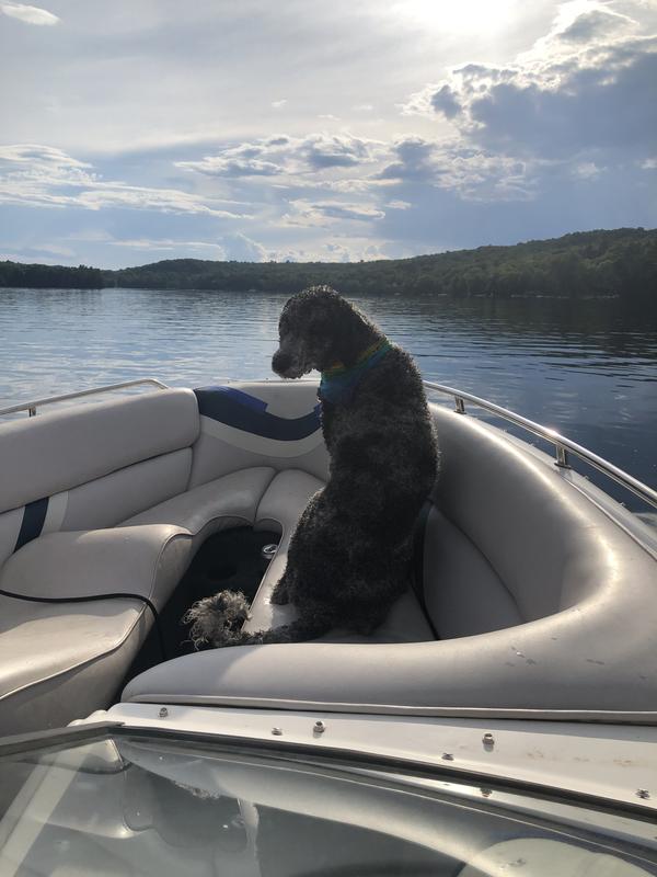 Photo - commentaire&nbsp;1.