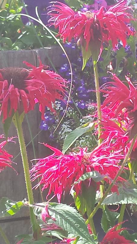 Something like this maybe?