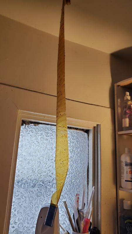 Photo - commentaire 5.