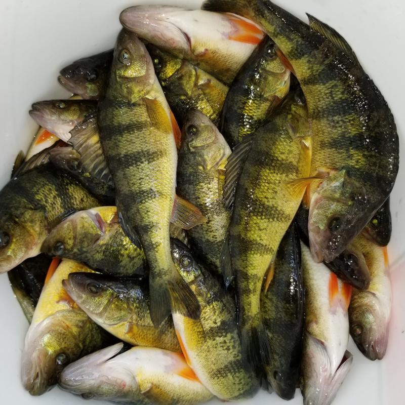 Photo - commentaire 2.