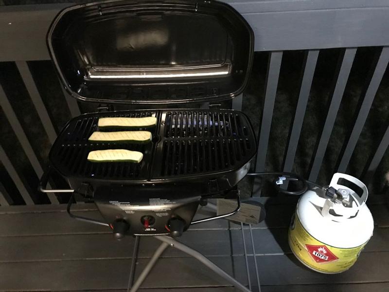 The gas line in the picture and the propane tank is not included in the purchase