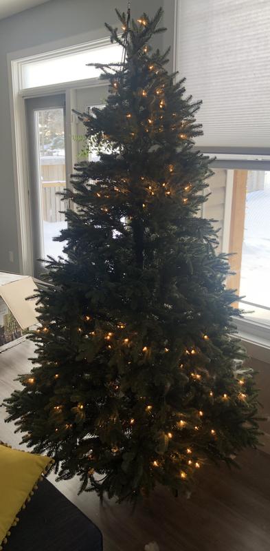 Burned out tree lights