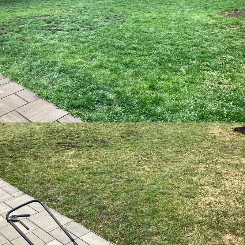 Photo - commentaire 6.