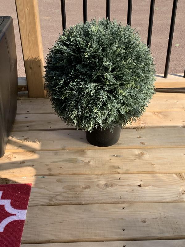 Photo - commentaire 1.