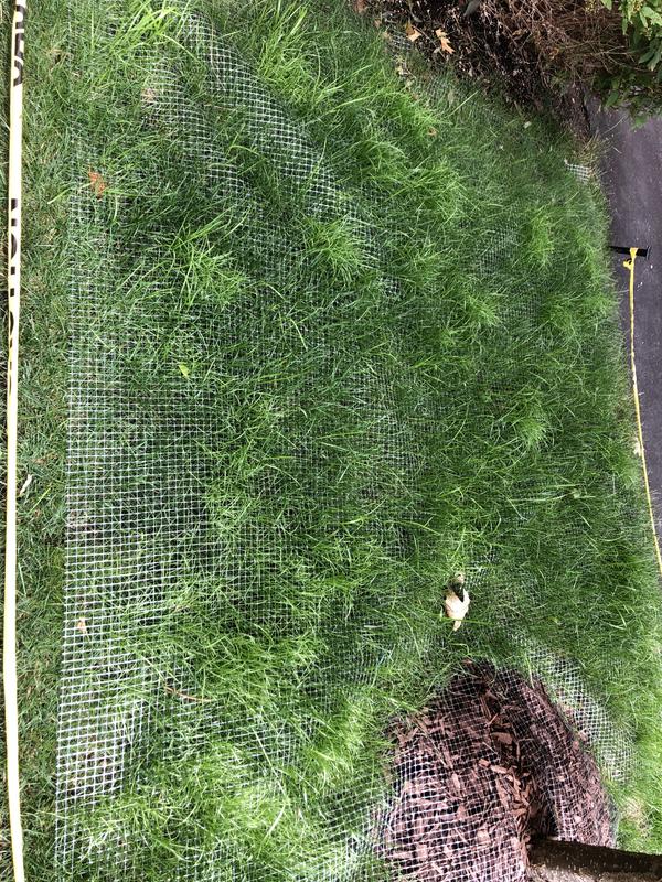 Photo - commentaire&nbsp;5.