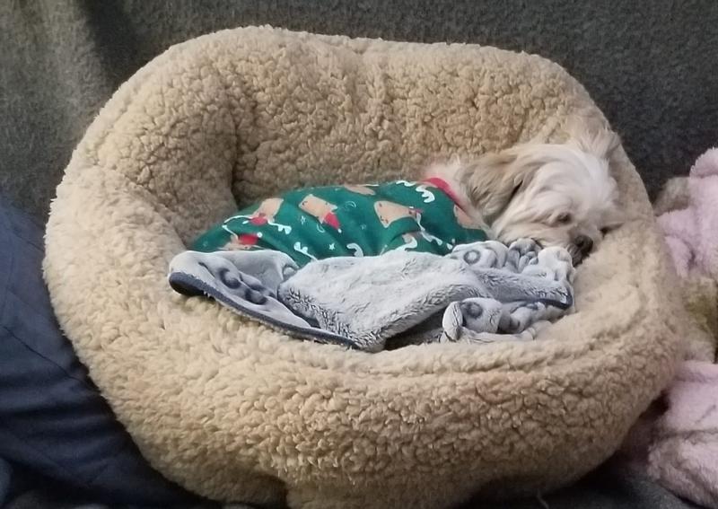 Propped up with Towels & Blankets to support the sides