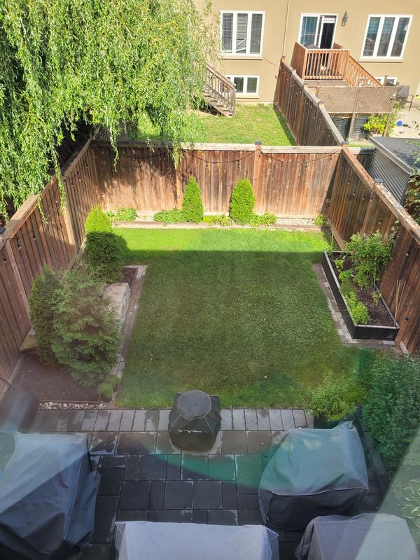 Grass grew fast after only 2 weeks!